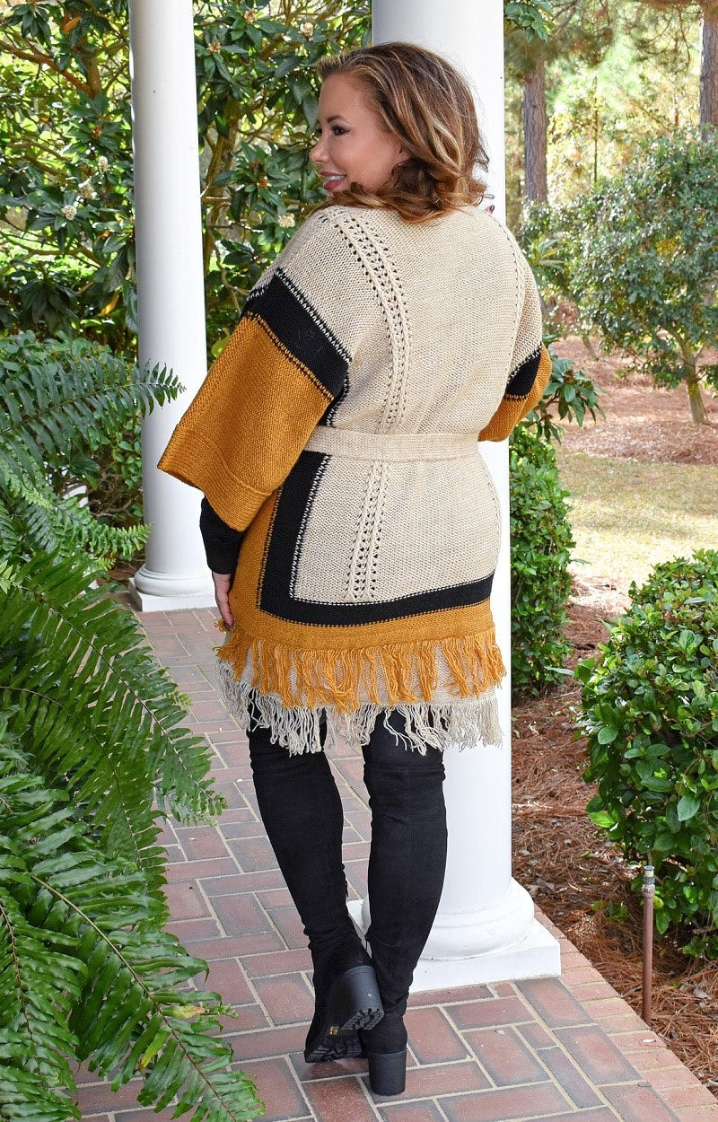 On The Lookout Colorblock Cardigan